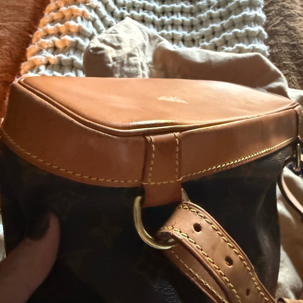 Louis Vuitton Montsouri MM Backpack - Picture 15 of 16